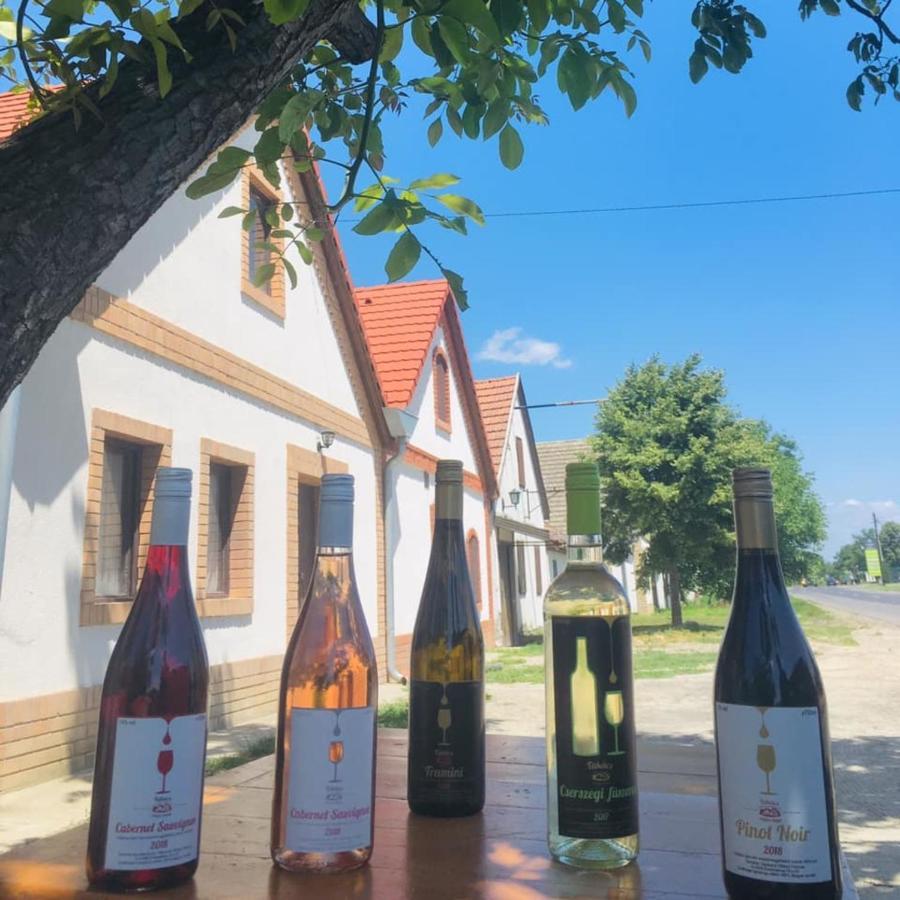 Takacs Pince Apartman Hajos Экстерьер фото